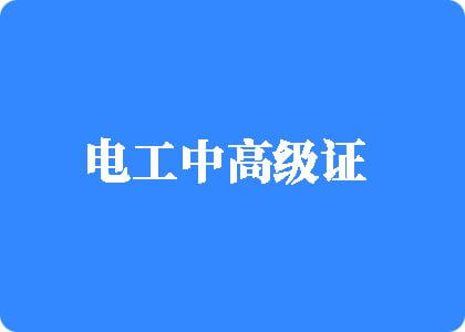 国产美女操逼电工中高级证